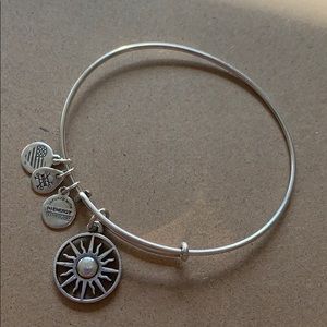 ALEX AND ANI